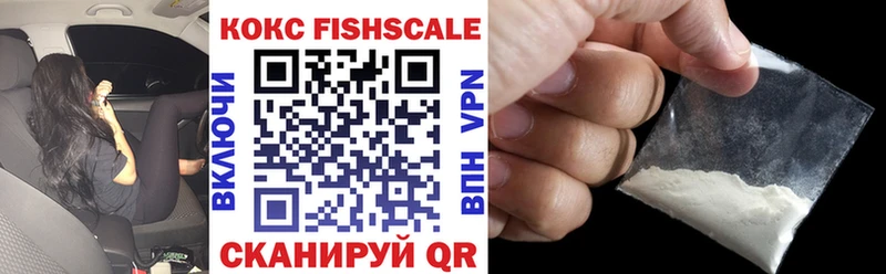 Кокаин FishScale  Купить где  Нолинск 