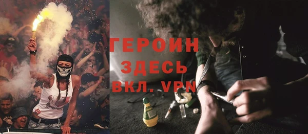индика Инсар