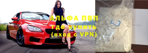 индика Инсар