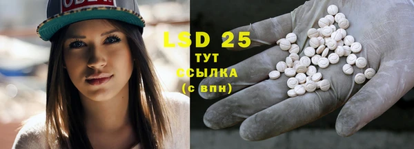 спайс Инта