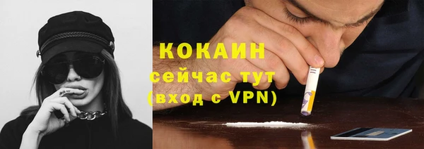 индика Инсар