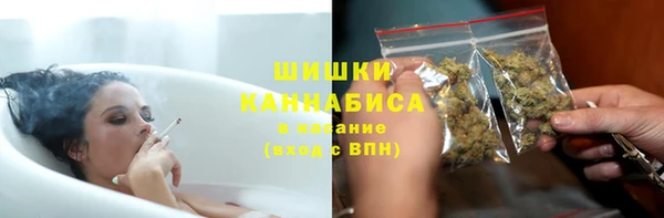индика Инсар