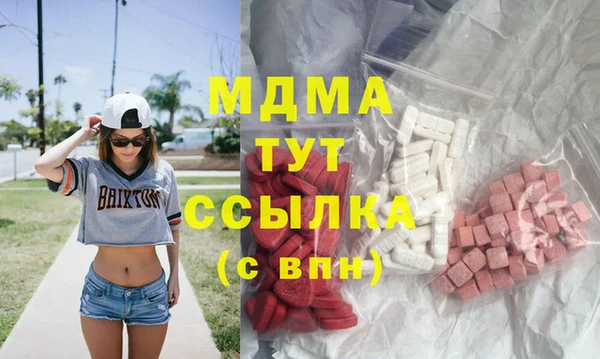 индика Инсар