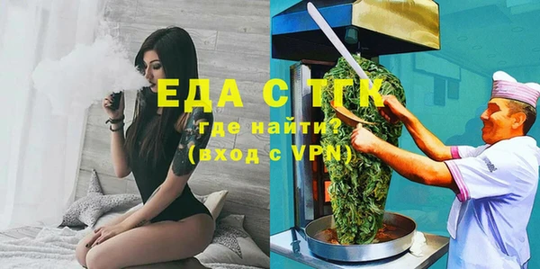 индика Инсар