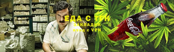 индика Инсар