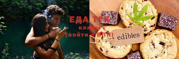 индика Инсар