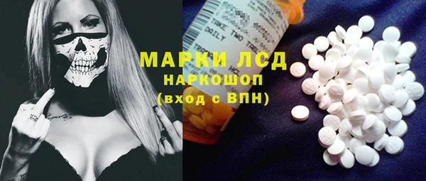 индика Инсар
