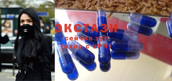 индика Инсар