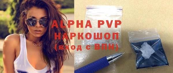 индика Инсар