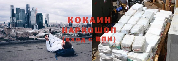 индика Инсар